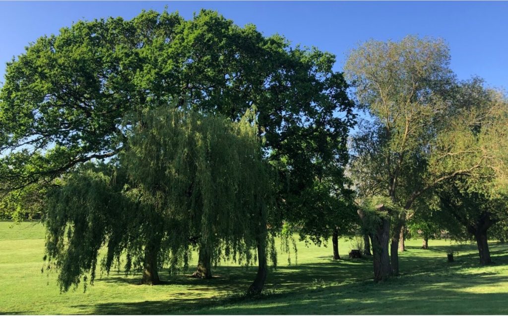 Kenton Recreation Ground LFGN